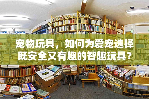 宠物玩具，如何为爱宠选择既安全又有趣的智趣玩具？
