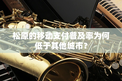松原的移动支付普及率为何低于其他城市？