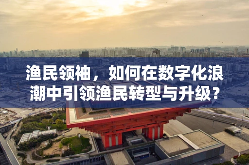 渔民领袖，如何在数字化浪潮中引领渔民转型与升级？
