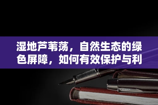 湿地芦苇荡，自然生态的绿色屏障，如何有效保护与利用？