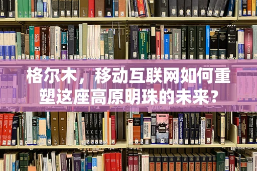 格尔木，移动互联网如何重塑这座高原明珠的未来？