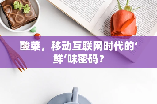 酸菜，移动互联网时代的‘鲜’味密码？