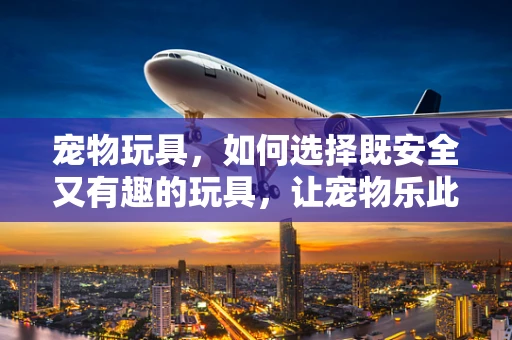 宠物玩具，如何选择既安全又有趣的玩具，让宠物乐此不疲？