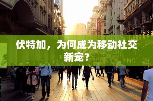 伏特加，为何成为移动社交新宠？