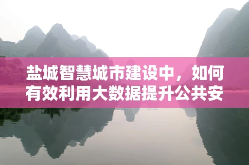 盐城智慧城市建设中，如何有效利用大数据提升公共安全服务？
