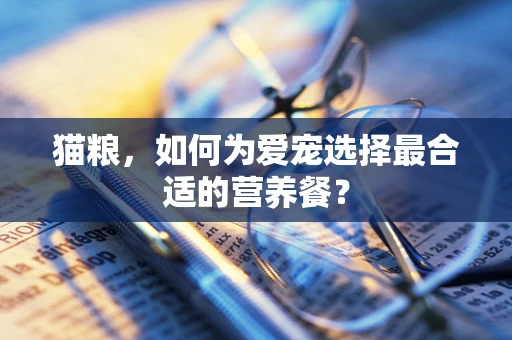 猫粮，如何为爱宠选择最合适的营养餐？