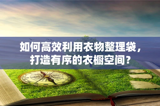 如何高效利用衣物整理袋，打造有序的衣橱空间？