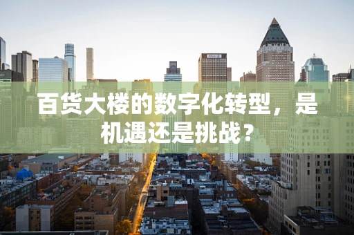 百货大楼的数字化转型，是机遇还是挑战？
