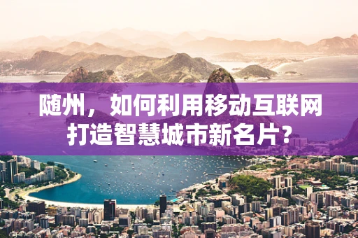 随州，如何利用移动互联网打造智慧城市新名片？