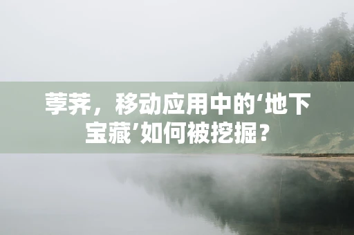 荸荠，移动应用中的‘地下宝藏’如何被挖掘？