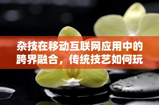杂技在移动互联网应用中的跨界融合，传统技艺如何玩转数字舞台？