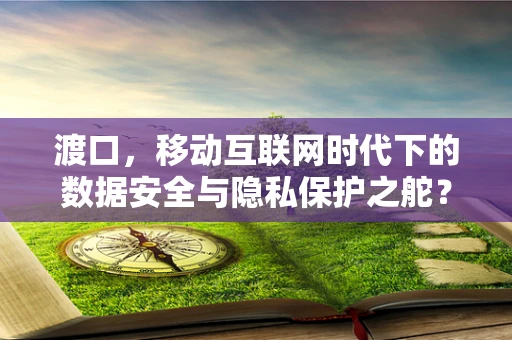 渡口，移动互联网时代下的数据安全与隐私保护之舵？