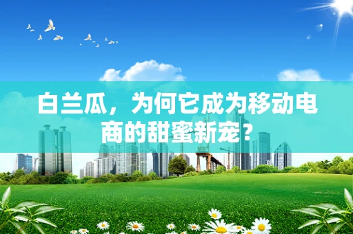白兰瓜，为何它成为移动电商的甜蜜新宠？