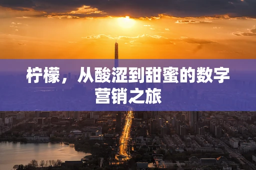 柠檬，从酸涩到甜蜜的数字营销之旅