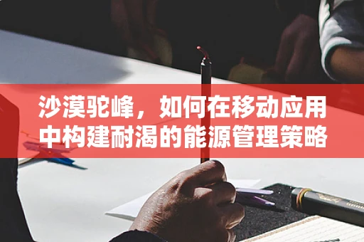 沙漠驼峰，如何在移动应用中构建耐渴的能源管理策略？