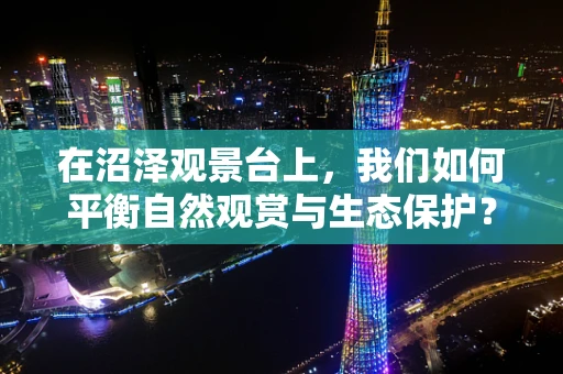 在沼泽观景台上，我们如何平衡自然观赏与生态保护？