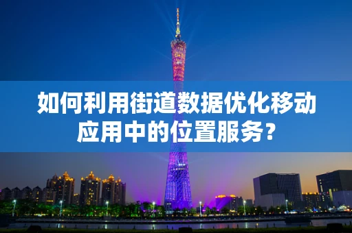 如何利用街道数据优化移动应用中的位置服务？