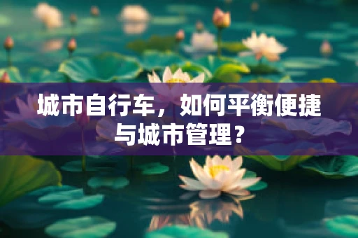 城市自行车，如何平衡便捷与城市管理？