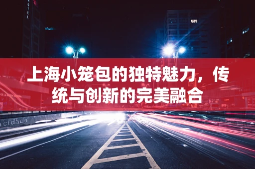 上海小笼包的独特魅力，传统与创新的完美融合