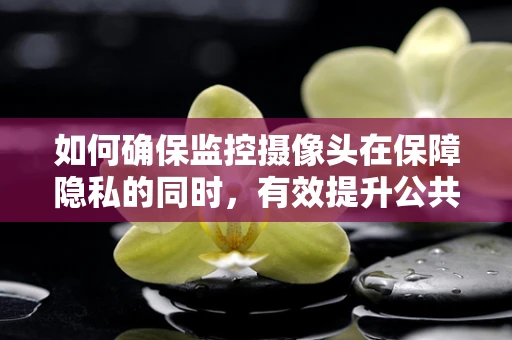 如何确保监控摄像头在保障隐私的同时，有效提升公共安全？
