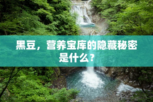 黑豆，营养宝库的隐藏秘密是什么？