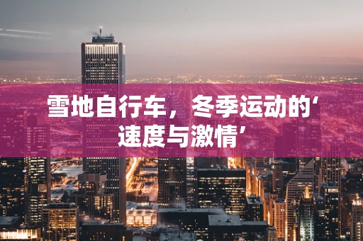 雪地自行车，冬季运动的‘速度与激情’
