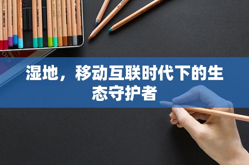 湿地，移动互联时代下的生态守护者