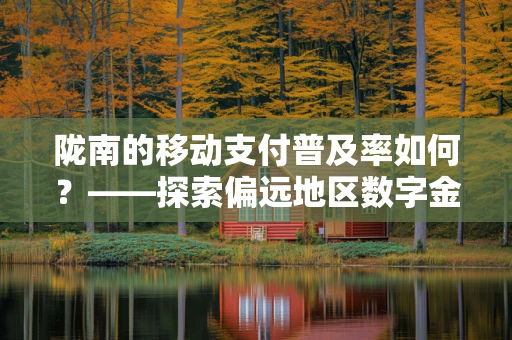陇南的移动支付普及率如何？——探索偏远地区数字金融的挑战与机遇